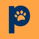 Patolo